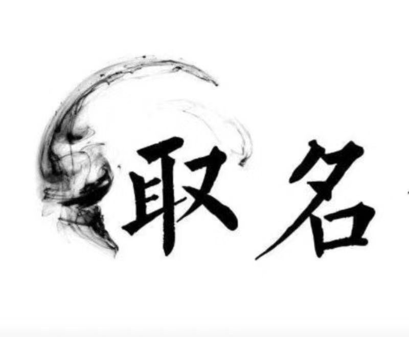  林芝宝宝取名 大师一对一人工起名